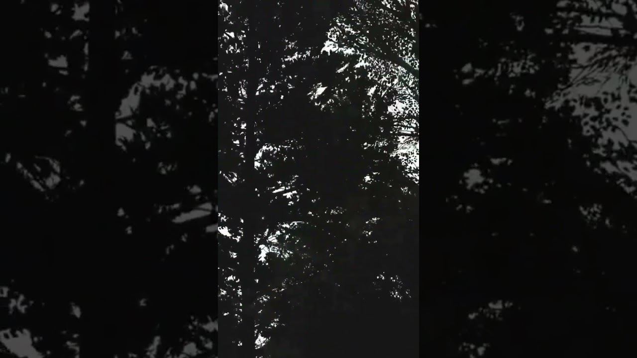 PS5 4k-60 #PGATour 2k23 Rickie Fowler saves his par!