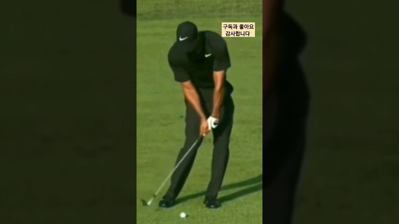 아이언 디봇은 이렇게 / 타이거 우즈 /보는 것만으로도 레슨이 되는 영상 / Tiger Woods