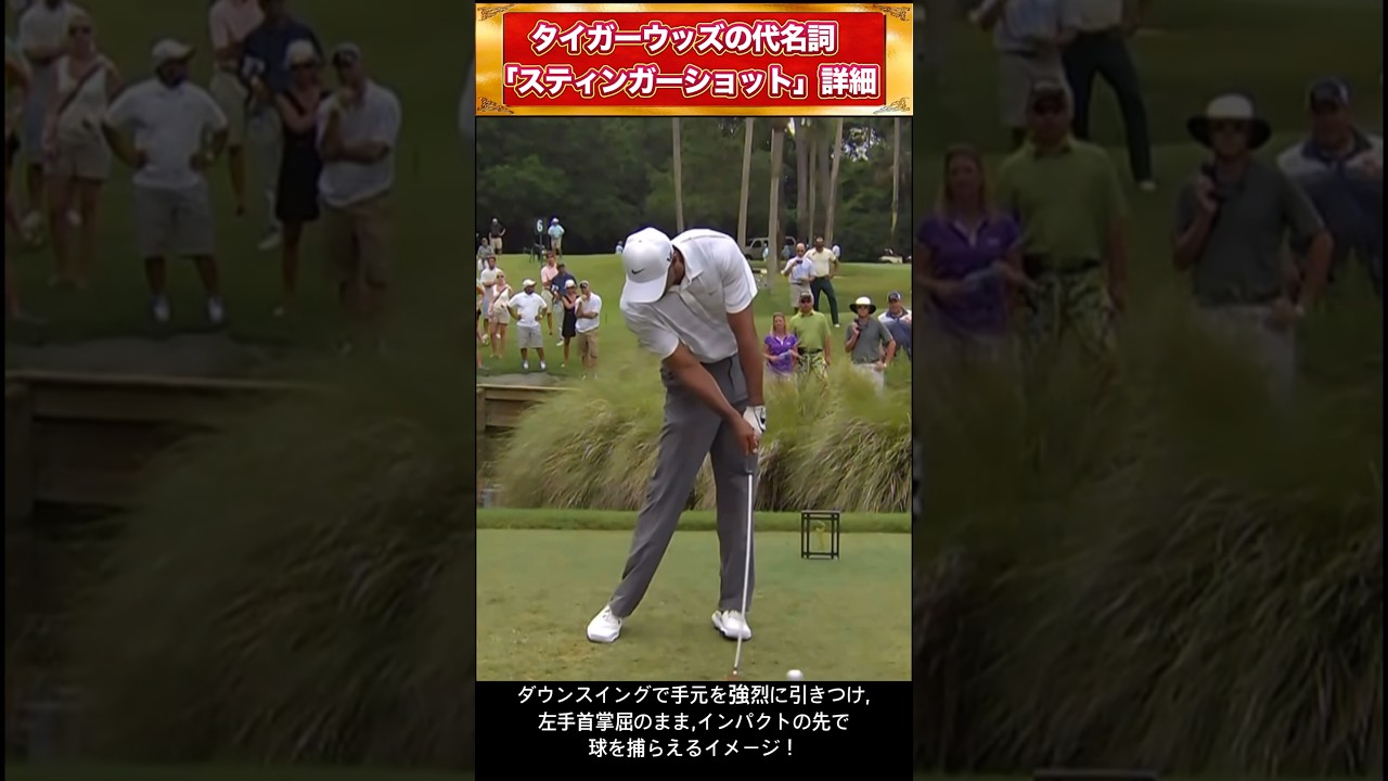 【タイガーウッズ】のスティンガーショットをスローモーションスイング解説！ #shorts #ゴルフスイング