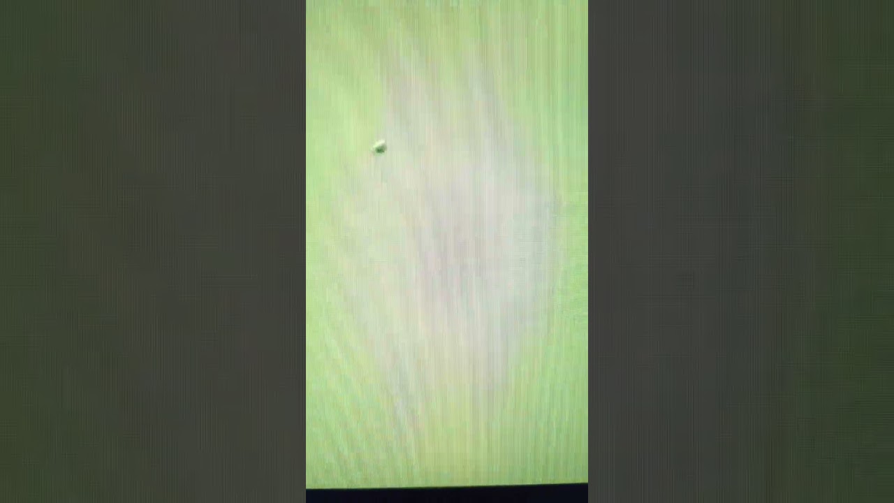 安田祐香  パナソニックオープン 2日目 #shorts #ショート #安田祐香