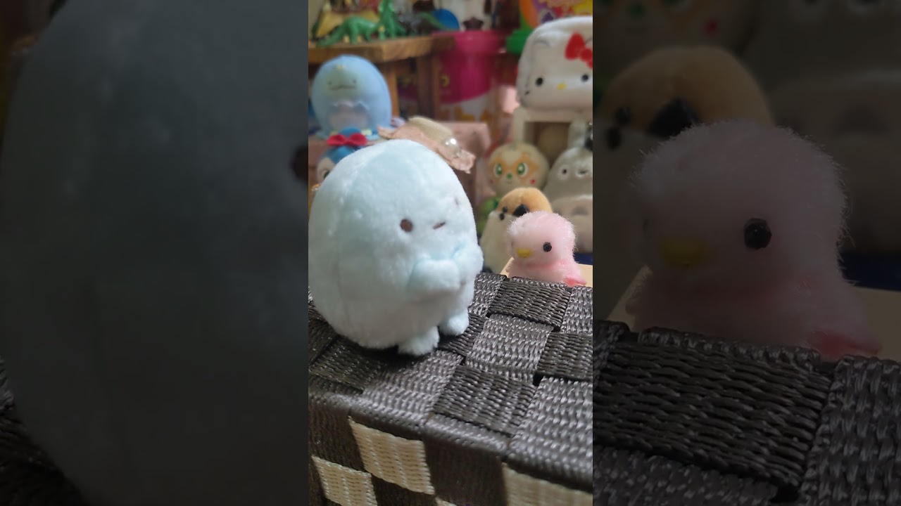 キム・ハヌル×カム・ウソン主演! 消えゆく記憶と究極の愛の選択が切なくも温かいラブストーリーおてがまたぴおか👛すず🐥再現【風が吹く】🐾바람은 불어