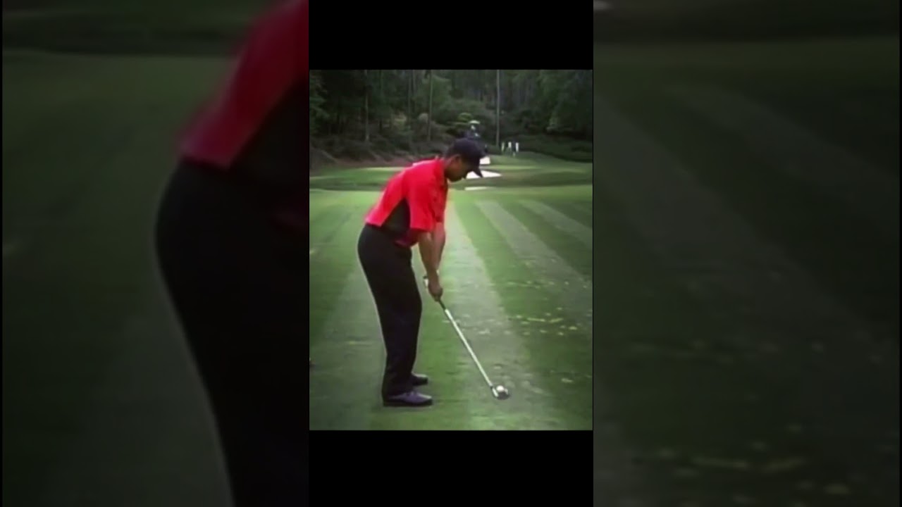 Tiger Woods タイガー・ウッズ