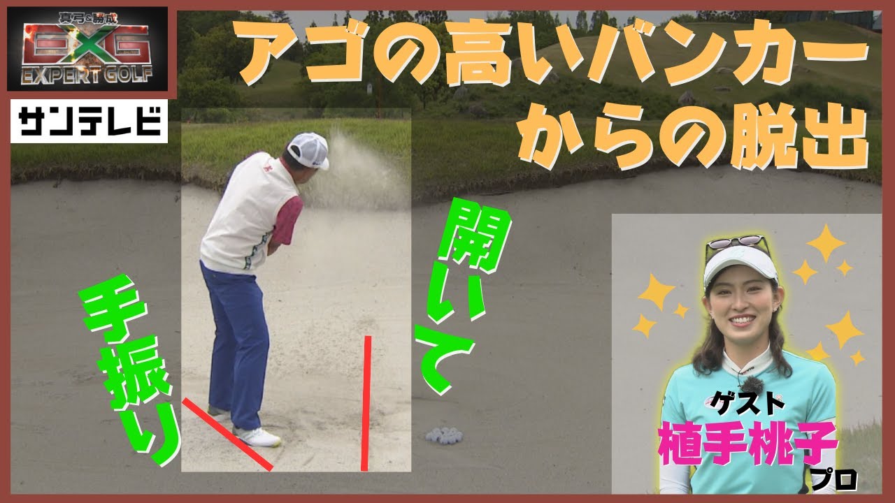 嫌な嫌な「バンカー」からの脱出！寄る！コツは単純です！【真弓＆勝成Expert GOLF】#ゴルフ #バンカー #レッスン #エキスパートゴルフ #植手桃子