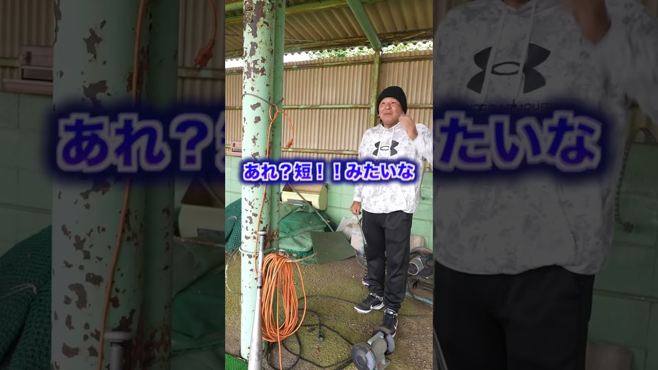 ゴルフクラブぶった切ります！ #shorts #福嶋晃子 #ゴルフ #プロゴルファー #golf