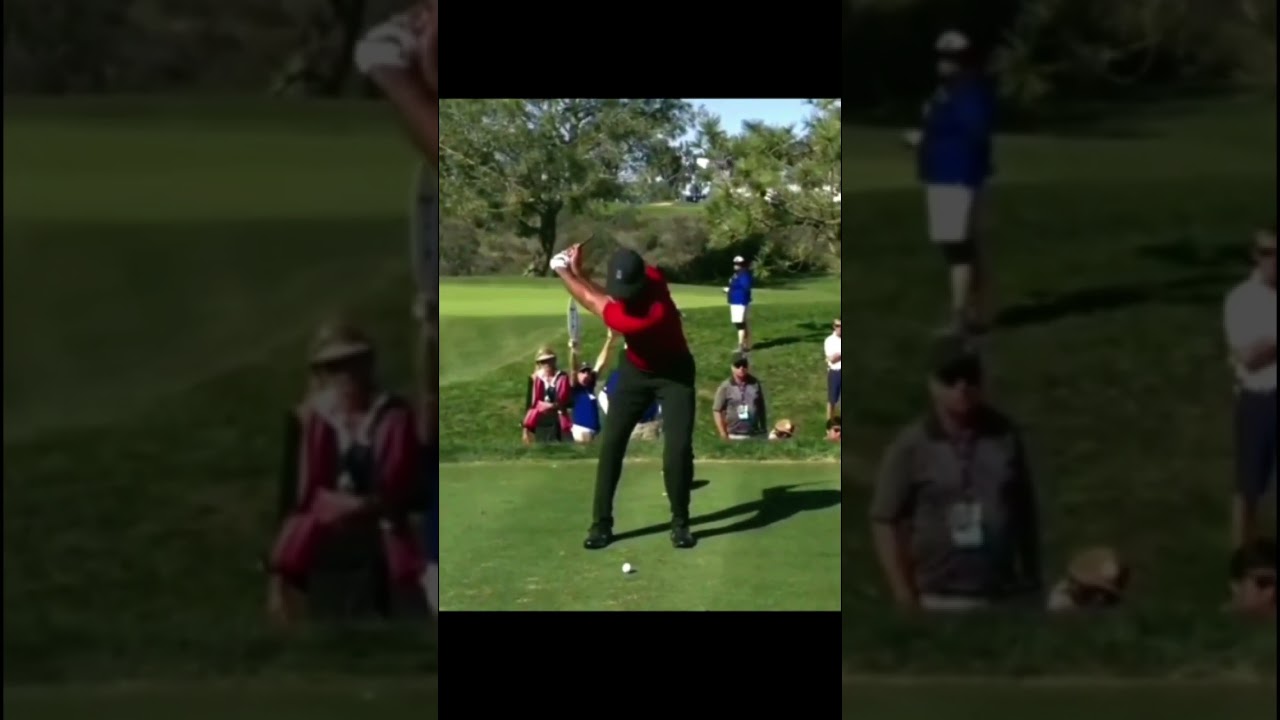 Tiger Woods タイガー・ウッズ