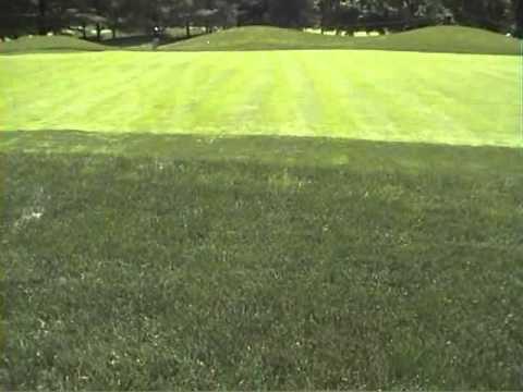 尾崎将司（1997年全米オープン練習）