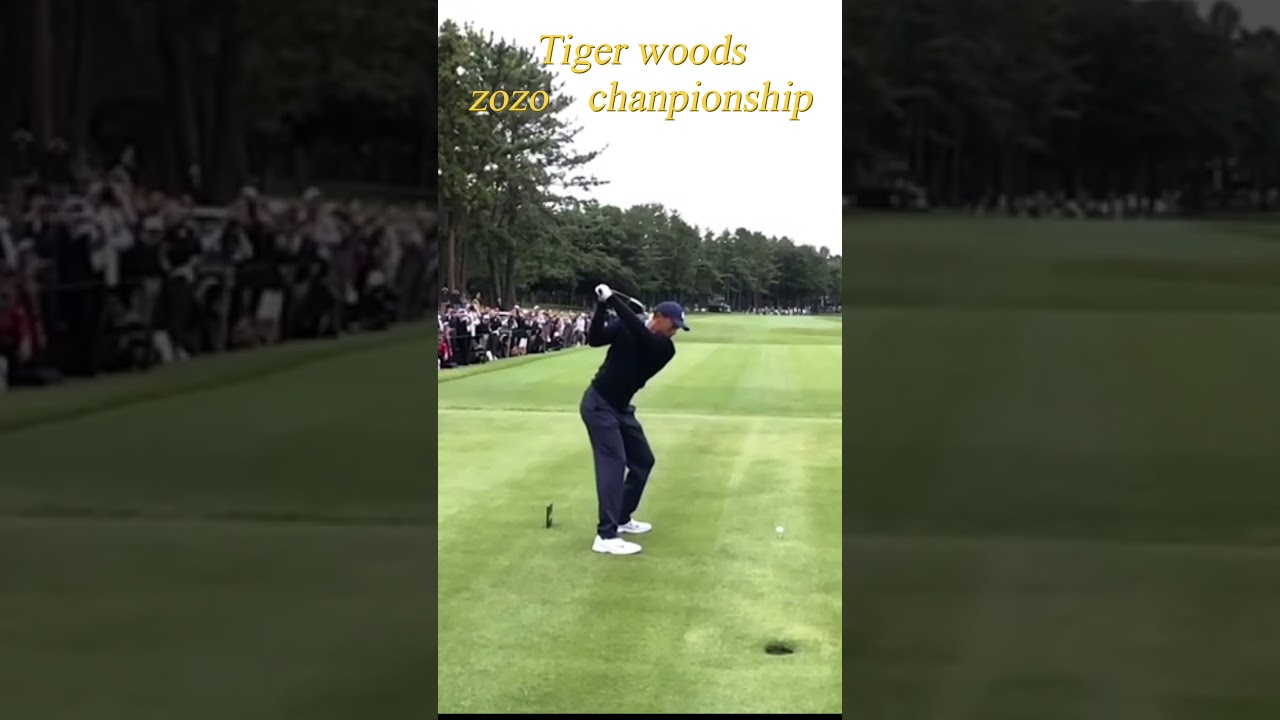 タイガーウッズ🐯 ドライバー #タイガーウッズ #ドライバー #shorts
