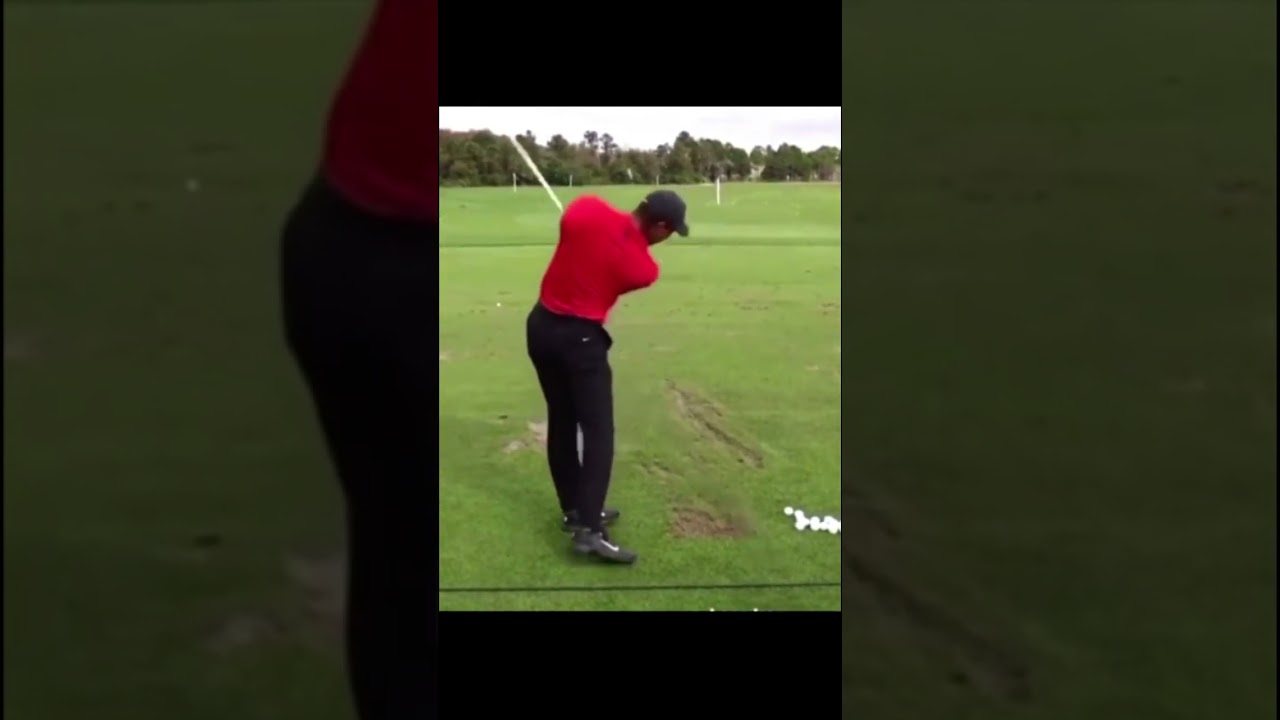 Tiger Woods タイガー・ウッズ