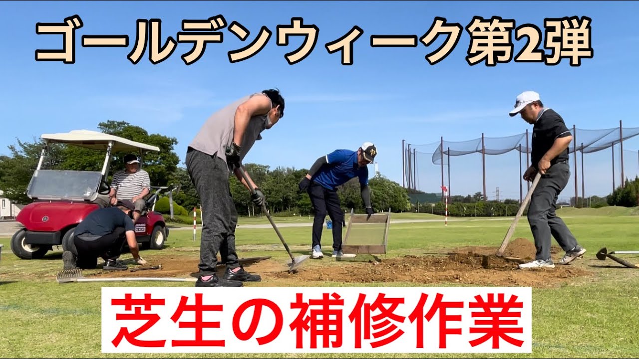 《重労働》芝生の張替え　目土しても3ヶ月は元に戻らないヨ❗️