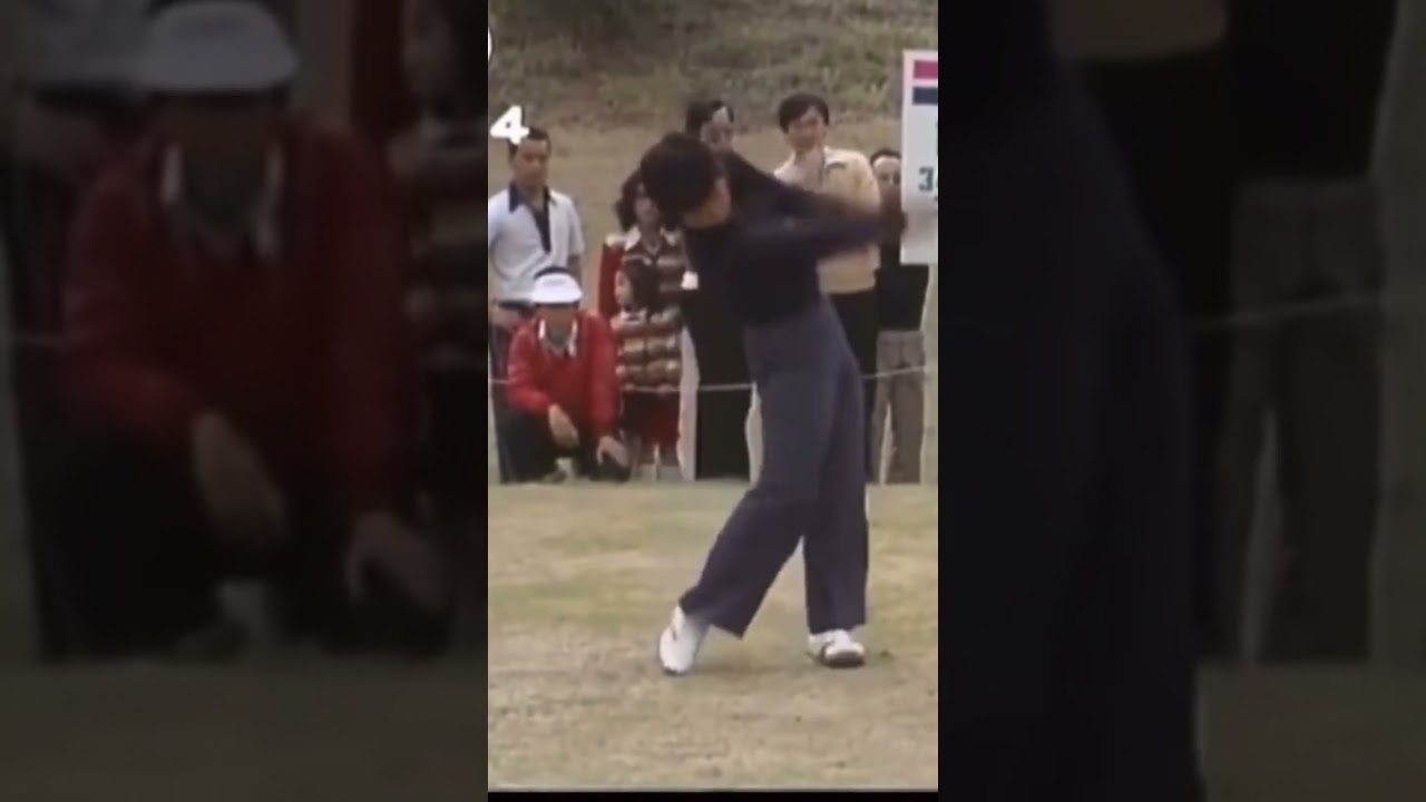 1977年岡本綾子プロのパーシモンドライバーショット✨ #パーシモンhage #golf #岡本綾子 #playgolf  #パーシモン