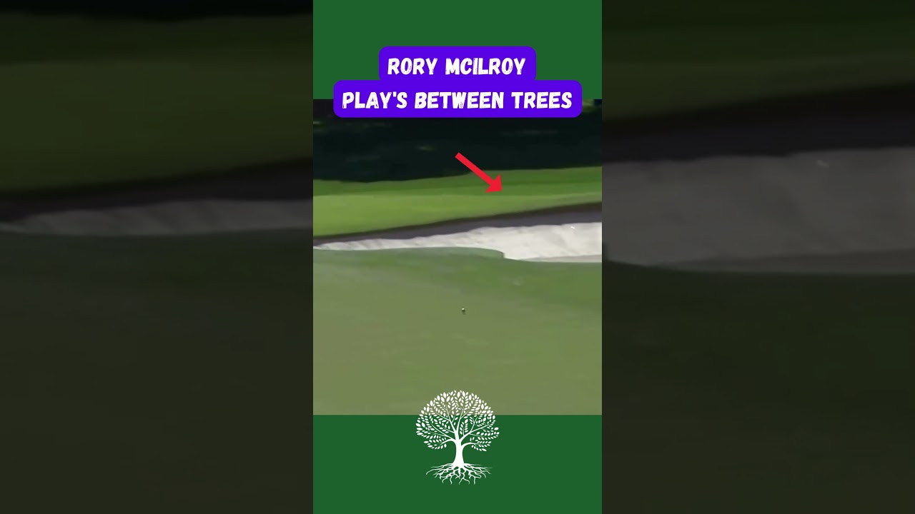 Rory Mcilroy plays between trees  🌲🏌🏼