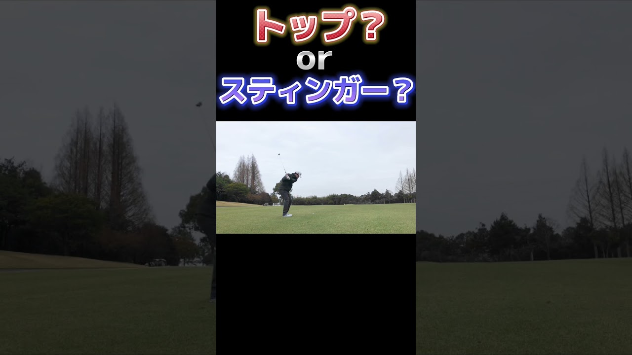 タイガーウッズに憧れた男のスティンガーショット！！#shorts #ゴルフ #golf
