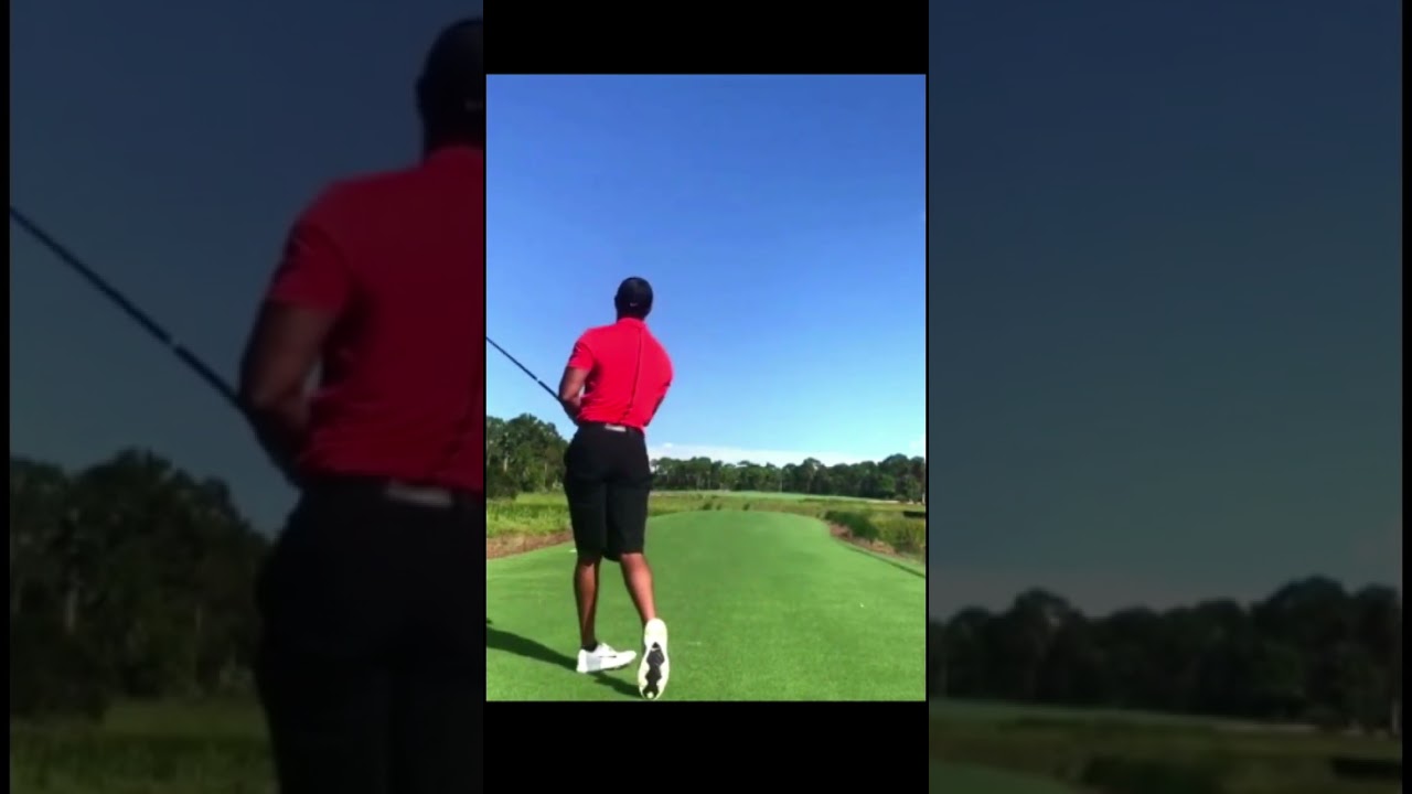 タイガー・ウッズ Tiger Woods