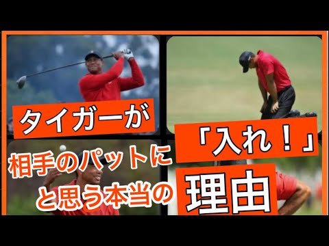 「ゴルフ名言」タイガーがピンチの時こそ相手のパターに「入れ！！」と思う本当の理由。ゴルフで100億稼ぐ男の鉄のメンタリティ、