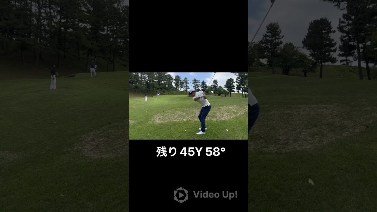 木に当たって戻ってきたら日頃の行いって言いがち#ゴルフあるある