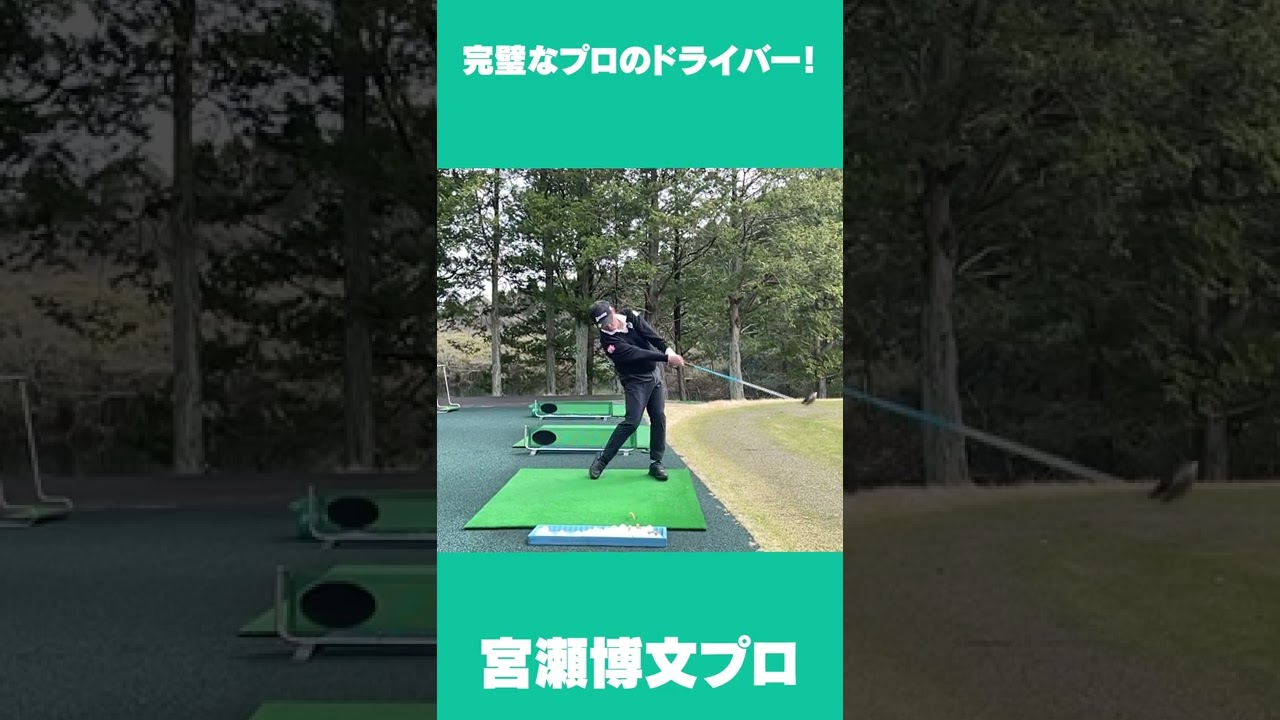 【詳細はチャンネルへ】ず〜っと観てられる！宮瀬博文プロのドライバーショット #shorts #golf #ゴルフ #ドライバー