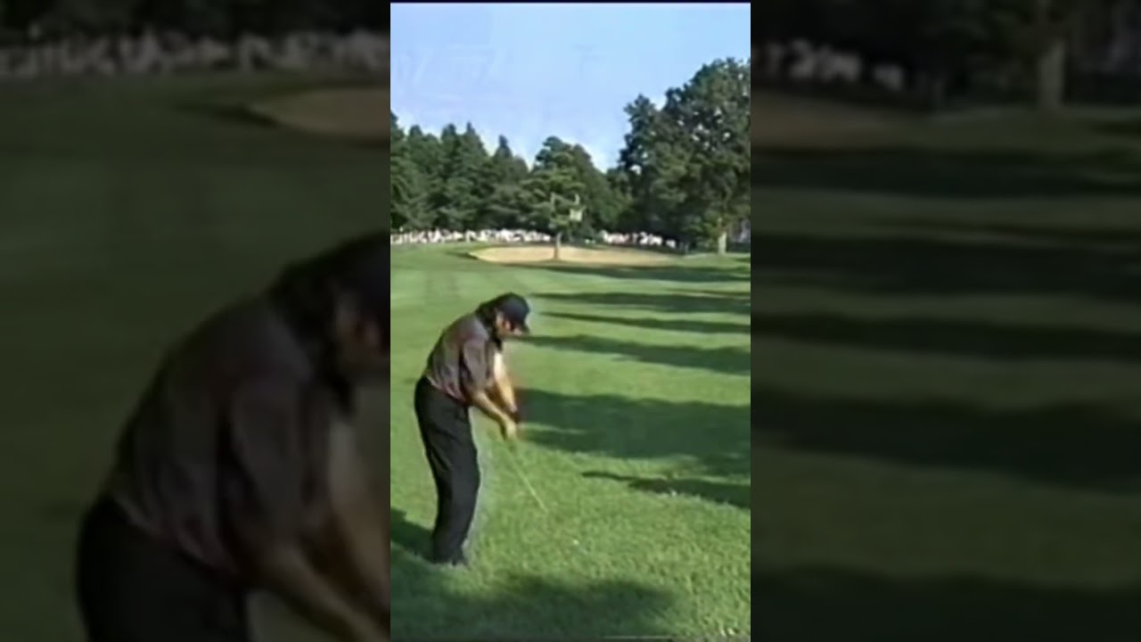 〝ニラ〟みたいなラフから点を攻める『ジャンボ尾崎プロのアイアンショット』1998年サントリーオープン　総武CC #golf #パーシモンhage #ジャンボ尾崎 #アイアンショット