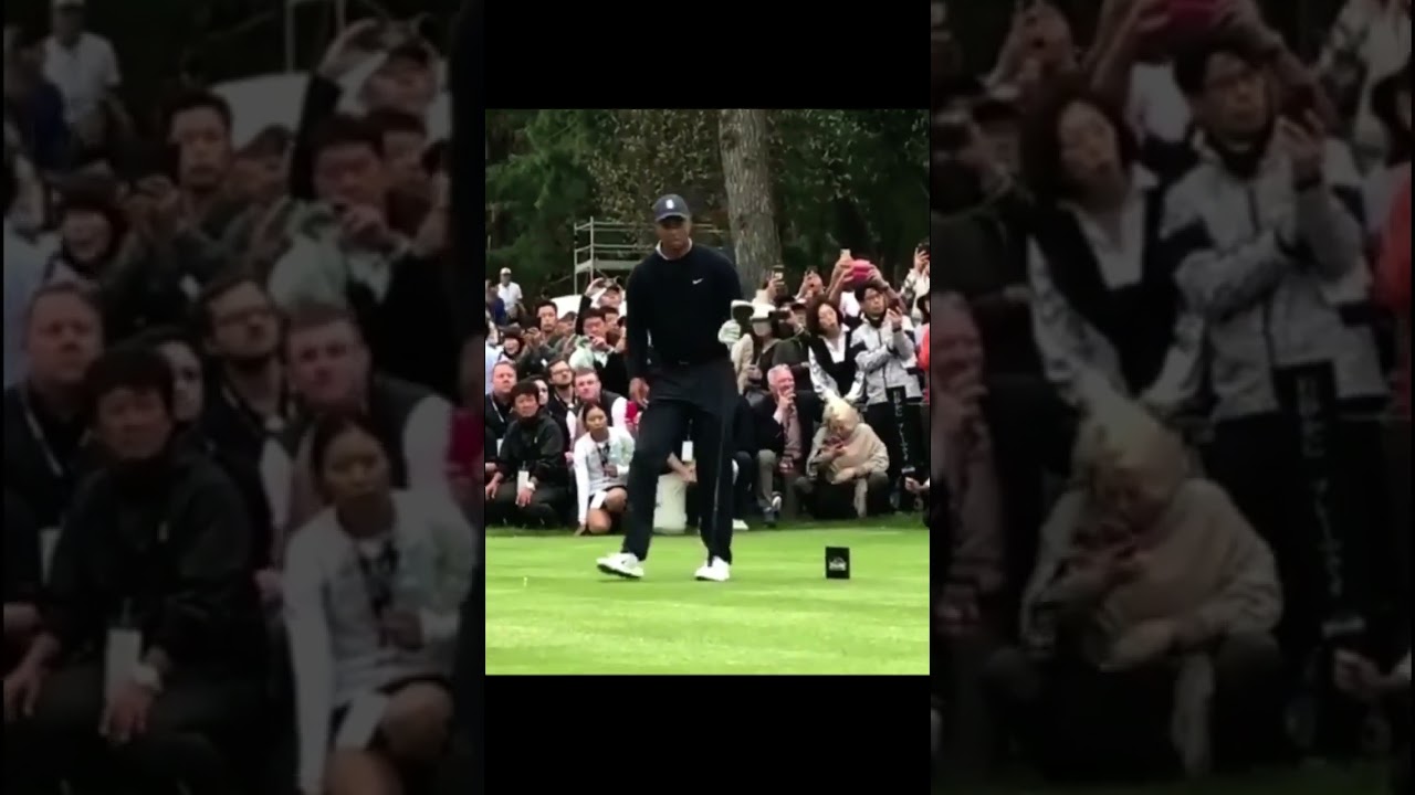 タイガー・ウッズ Tiger Woods