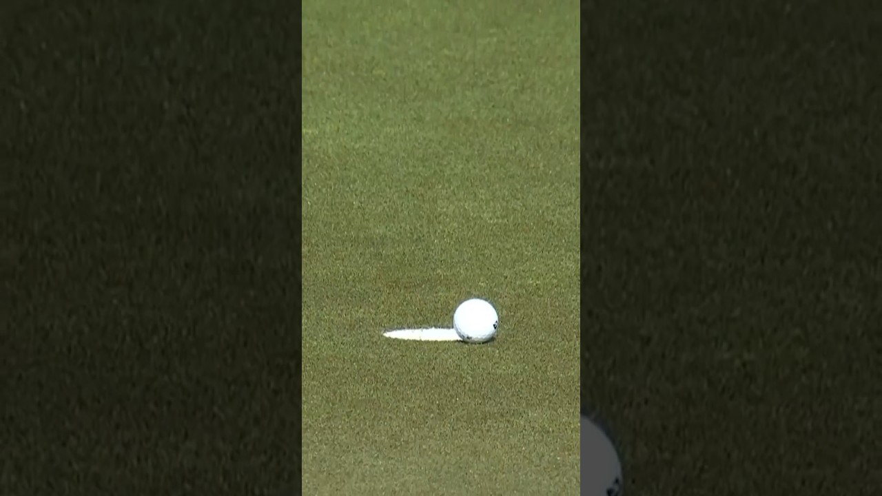 Will the PUTTS drop? 🤷