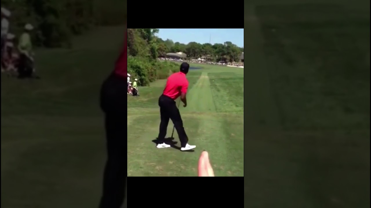 タイガー・ウッズ Tiger Woods