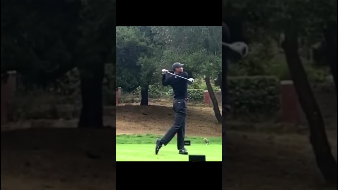 タイガー・ウッズ Tiger Woods