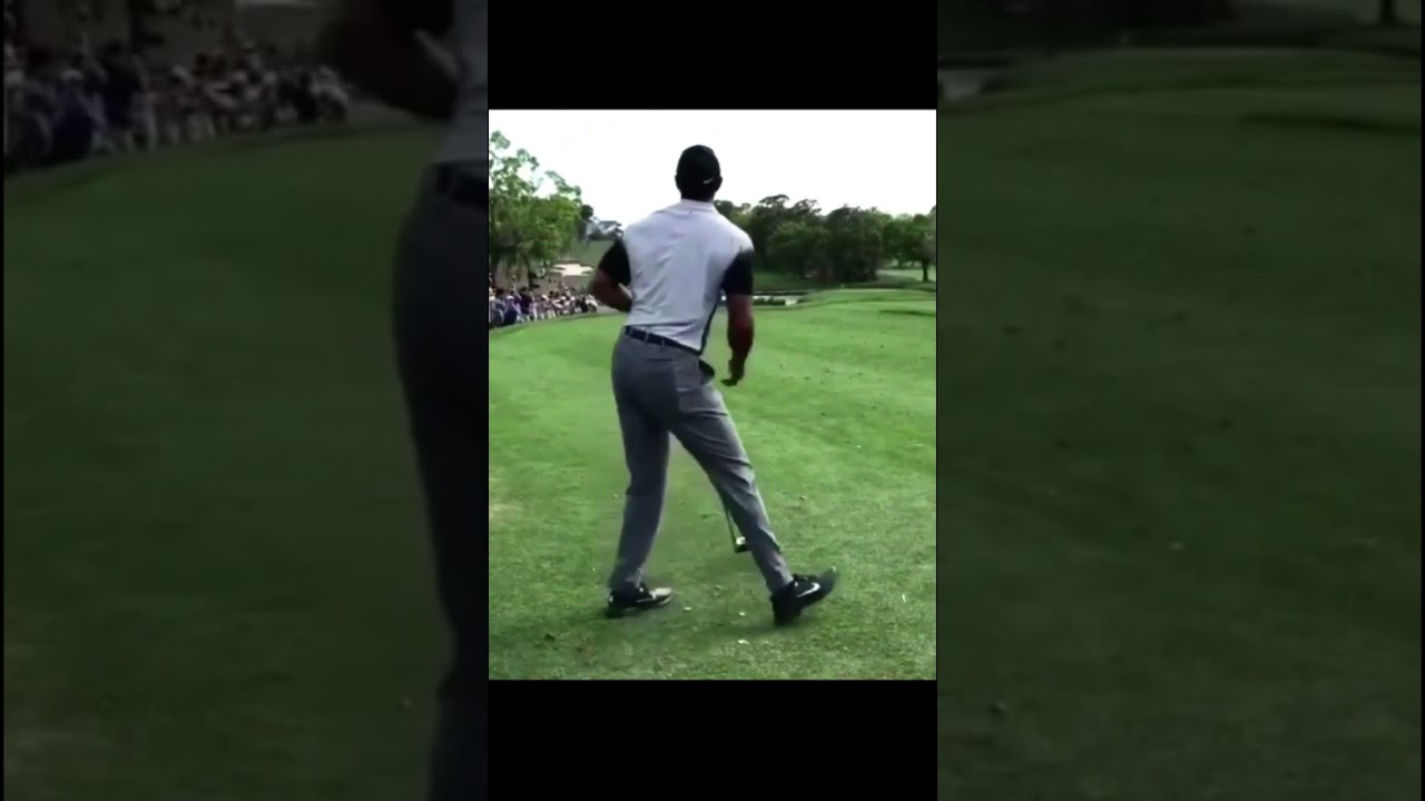 タイガー・ウッズ Tiger Woods