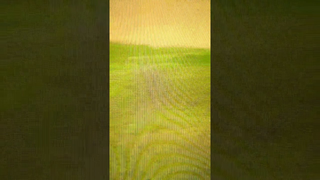 柏原明日架  明治安田生命レディス #shorts #ショート #明治安田生命レディス