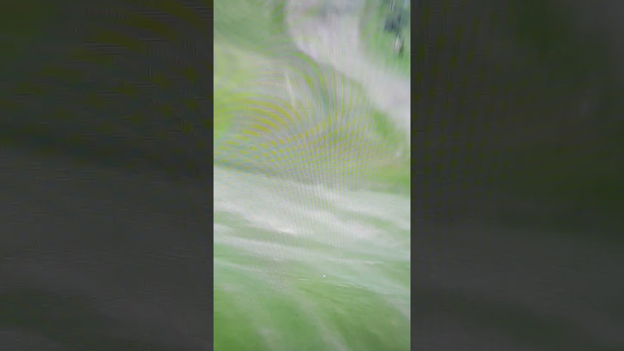 安田祐香  名物16H  フジサンケイレディス #shorts #ショート #安田祐香