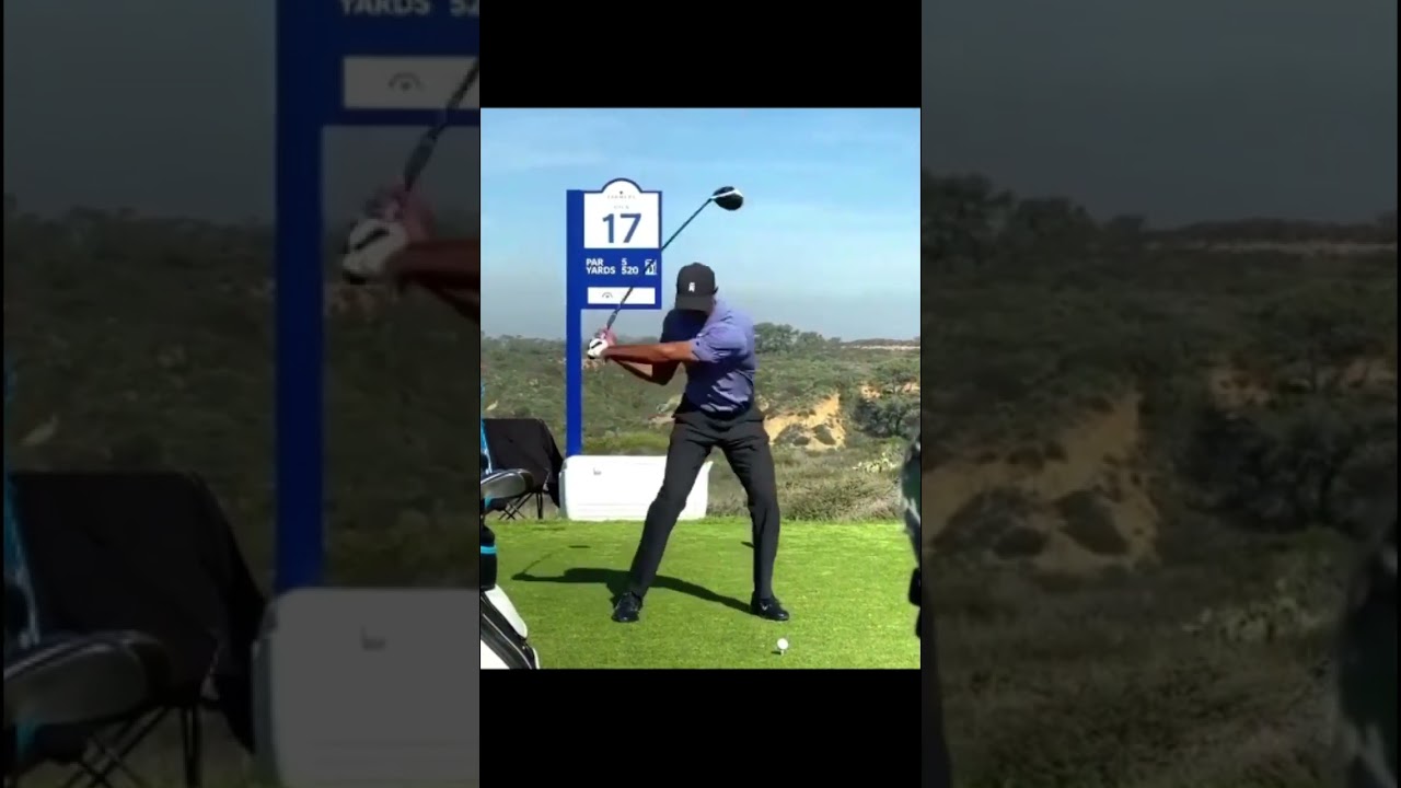 タイガー・ウッズ Tiger Woods