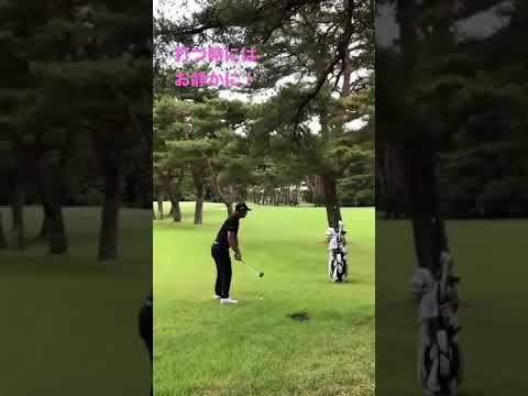 石川遼 木の間を通すナイスショット