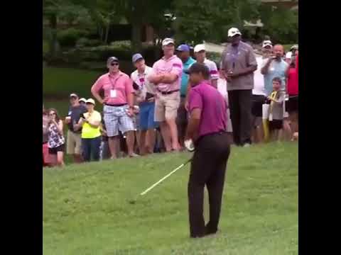 やっぱりタイガーかっこいいな