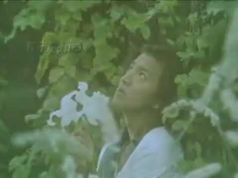 【TVドラマ-OP】 眠れる森  ♪竹内まりや / 木村拓哉 中山美穂 仲村トオル 陣内孝則