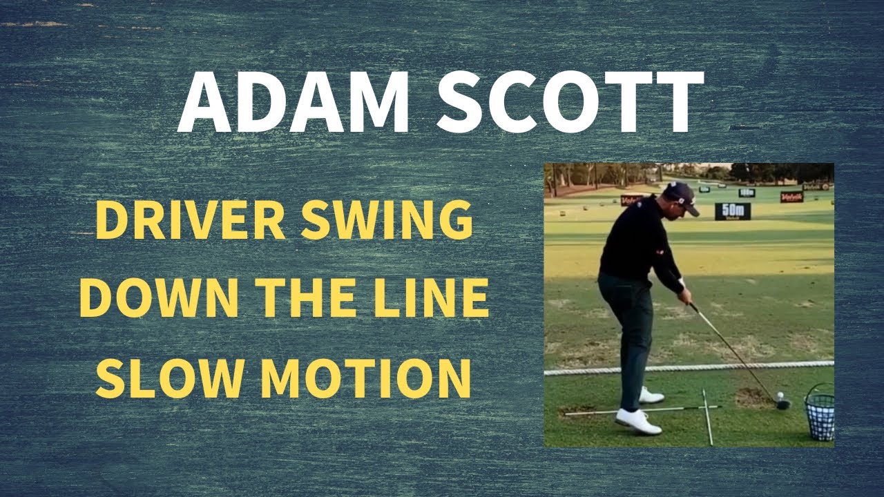 Adam Scott Driver Golf Swing Slow Motion (DTL) アダム・スコット ドライバー スイング スロー
