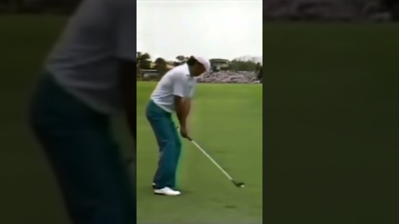 兄ジャンボ尾崎のパットを中断させた😅ジェット尾崎（尾崎健夫）プロのパーシモン3wショット✨ #golf #ジャンボ尾崎 #ジェット尾崎 #パーシモン #日本プロゴルフ選手権