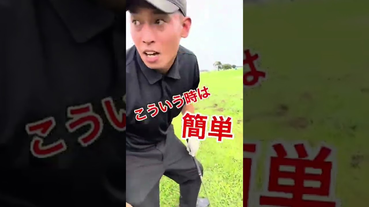 久しぶりなのに不貞腐れてタイガー🐅　#多摩川のタイガーウッズ　#JUMIGOLF #ゴルフ