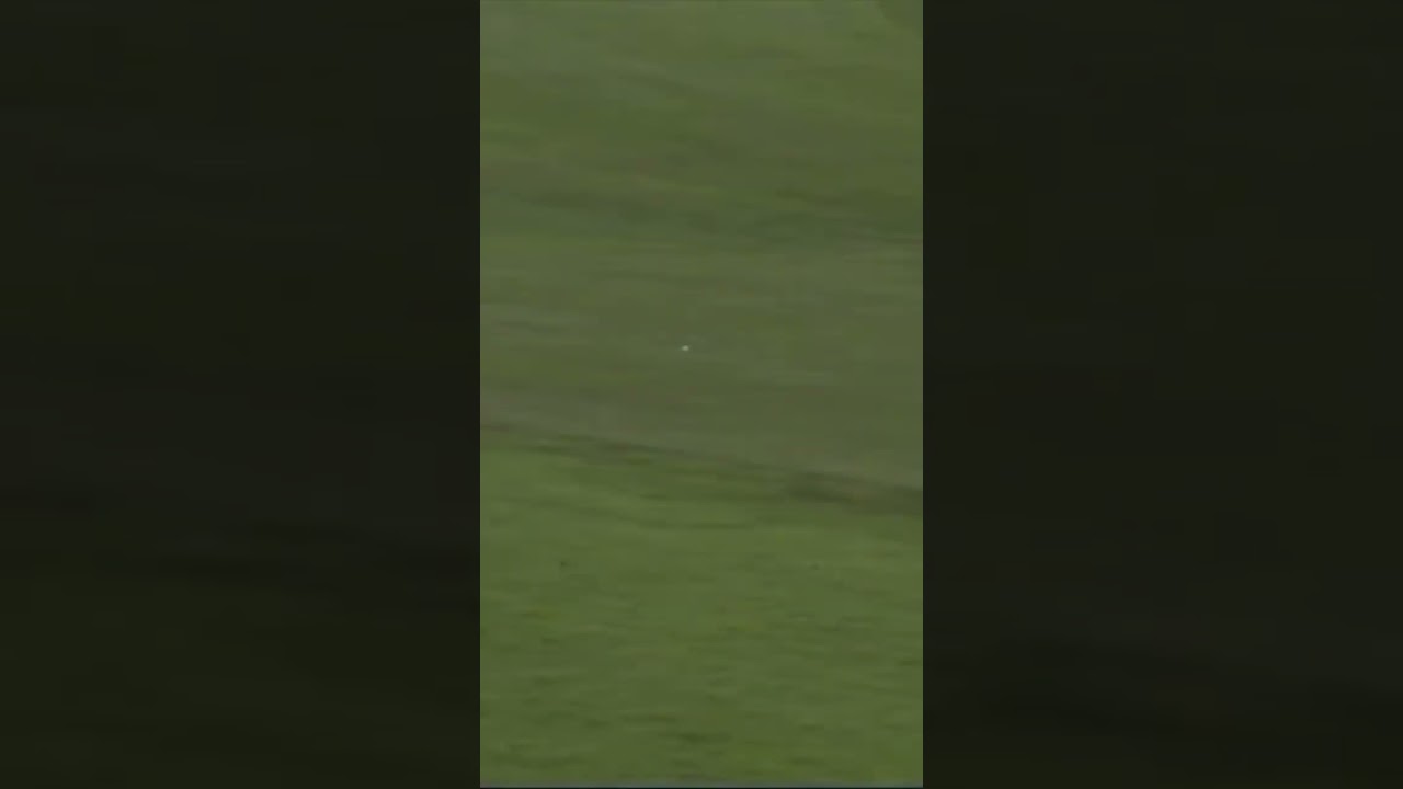 ジャンボ尾崎プロのドライバーショット✨1999年尾崎3兄弟で優勝争いをした日本プロ🔥 #golf #ゴルフ #ジャンボ尾崎 #ドライバー