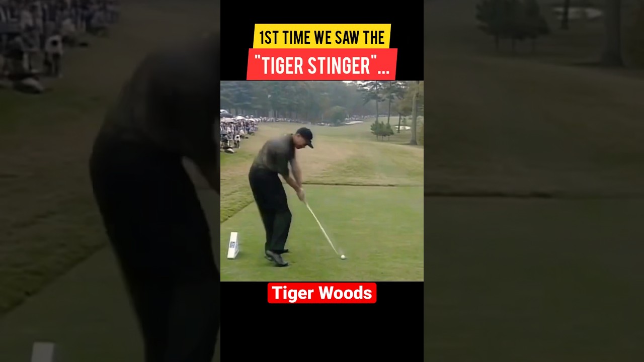 Tiger Woods infamous "Tiger Stinger"