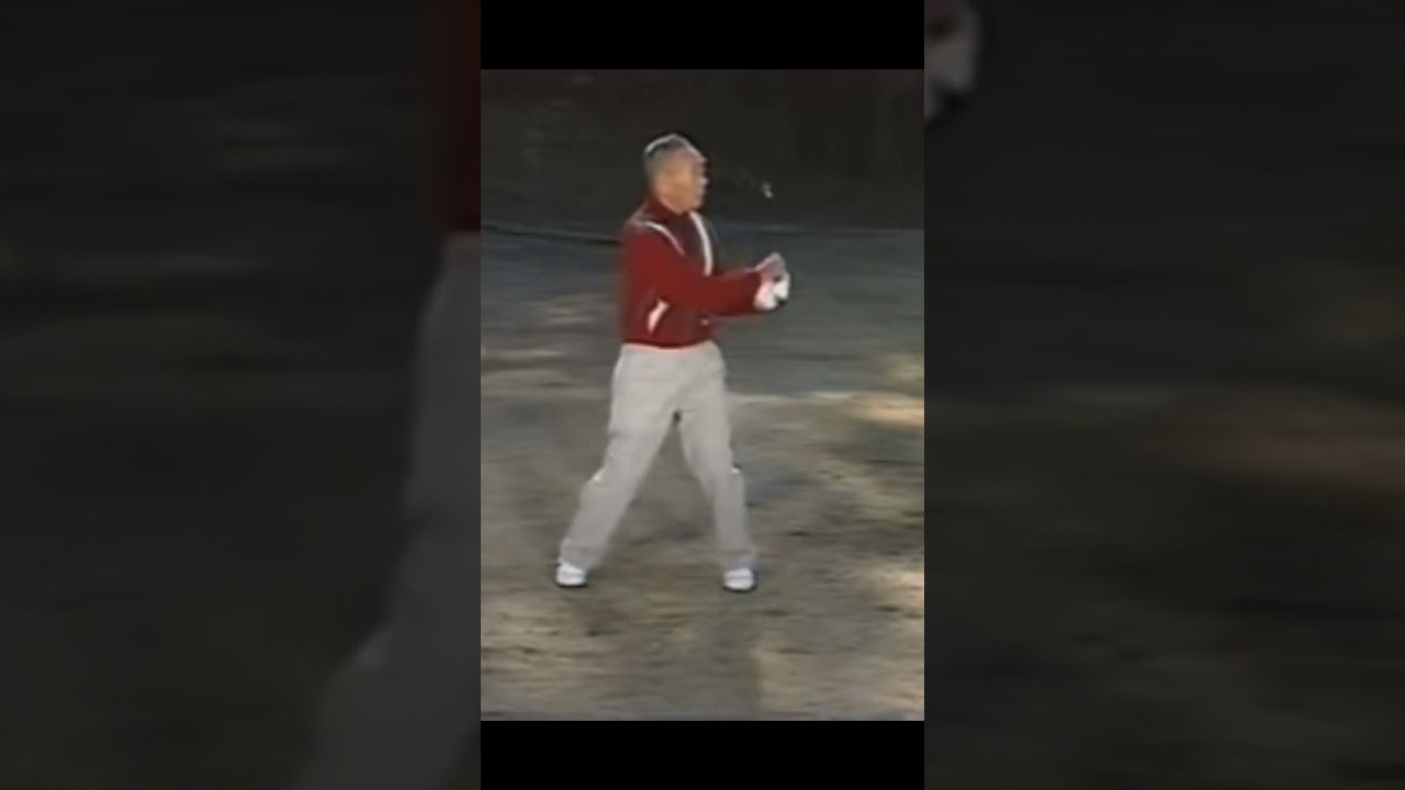 ジャンボ尾崎・青木功プロの師匠！林由郎大先生の初心者レッスン❣️ #golf #ゴルフ #林由郎 #ゴルフスイング #ゴルフ初心者 #ゴルフ女子