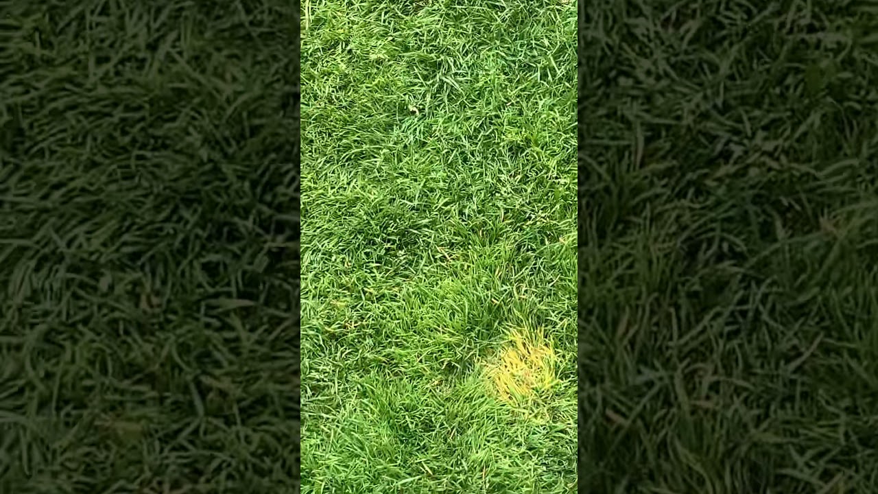 Michelle Wie West warm up US Women’s Open 2021