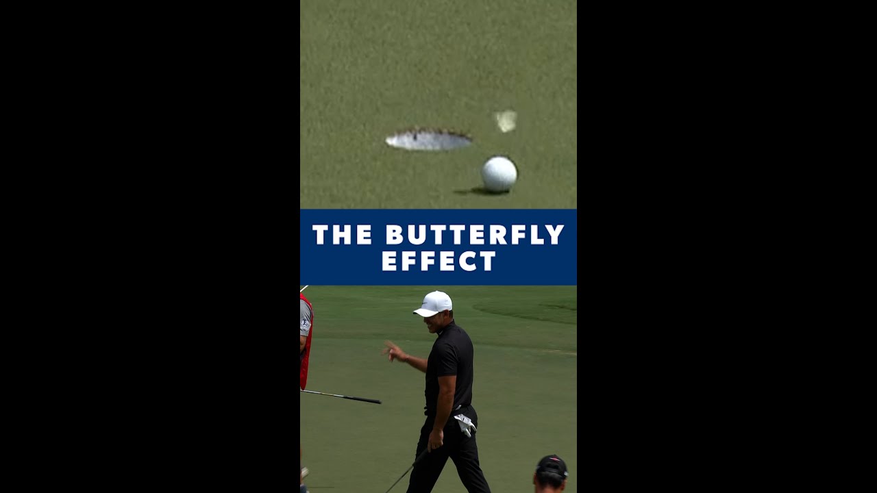 Koepka: The Butterfly Effect 🦋