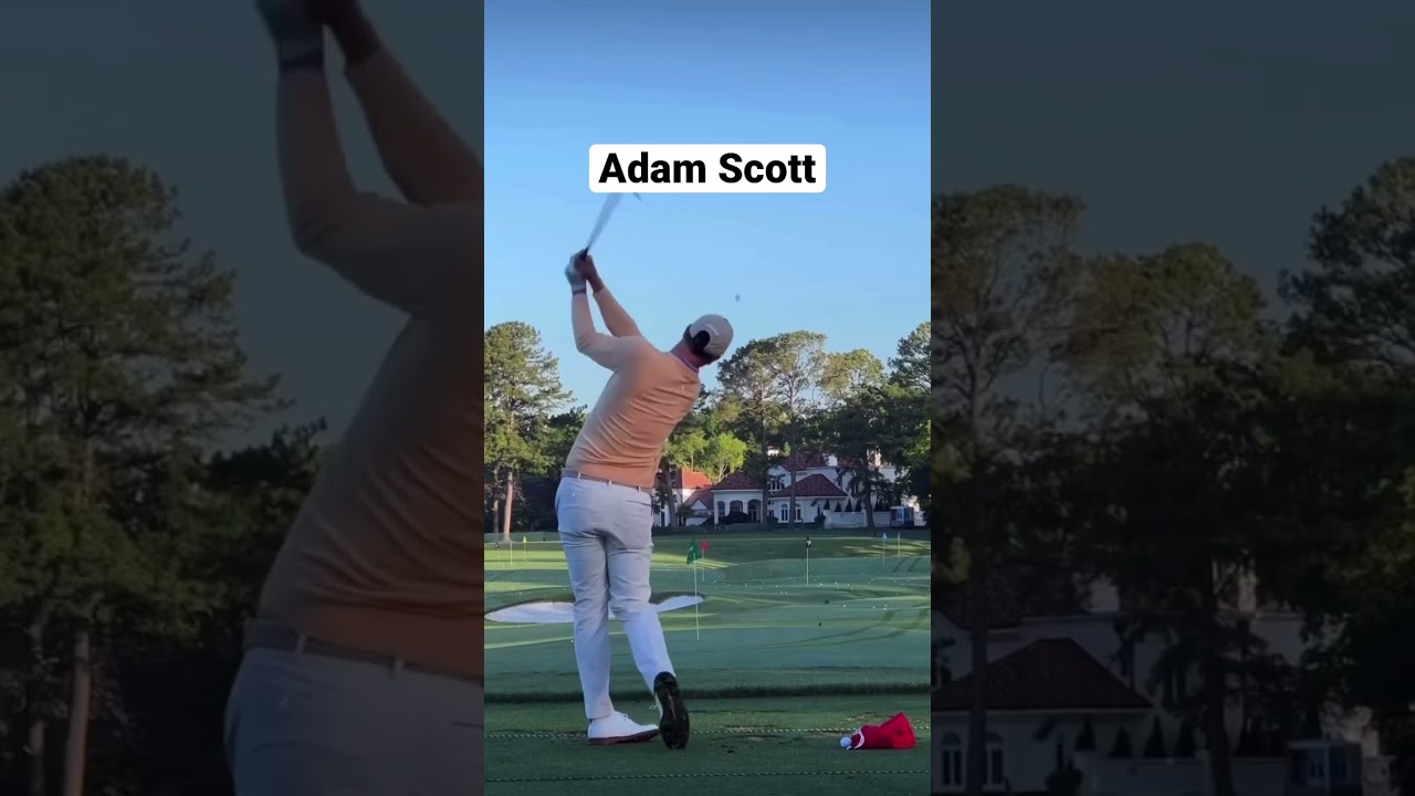 Adam Scott Golf Swing #golf #golfer #golfswing #golfcoach #golfing #golfclub #youtubeshorts