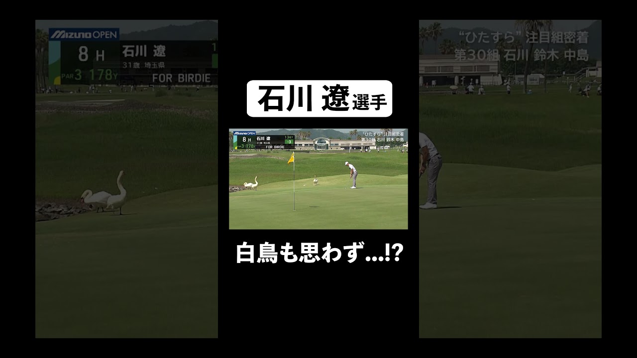 【#ABEMAツアー】石川遼選手を白鳥が観戦！？ #ゴルフ #石川遼 #ABEMAツアー #Shorts