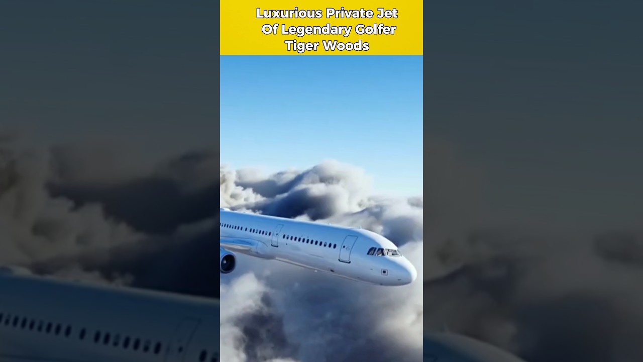 Luxurious Private Jet of legendary #celebrity Golder Tiger woods..😲😲#youtubeshorts #shorts