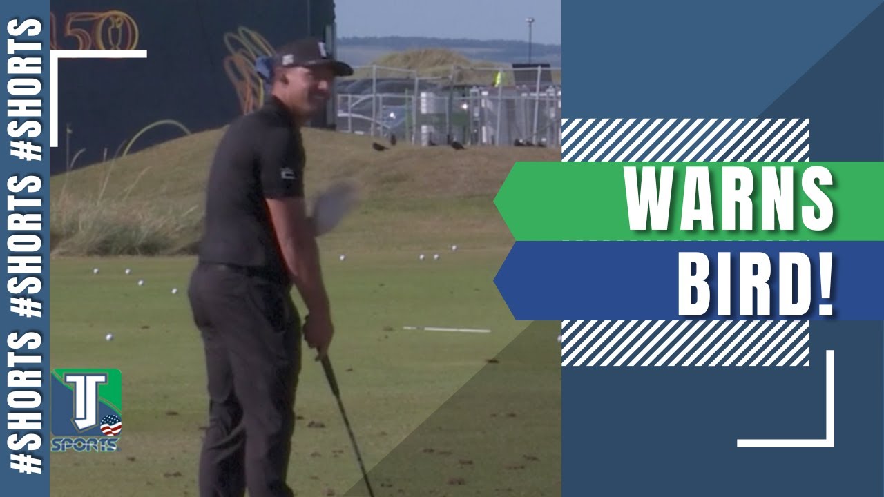 WATCH Fore! Bryson Dechambeau WARNS BIRD after trick shot #Shorts