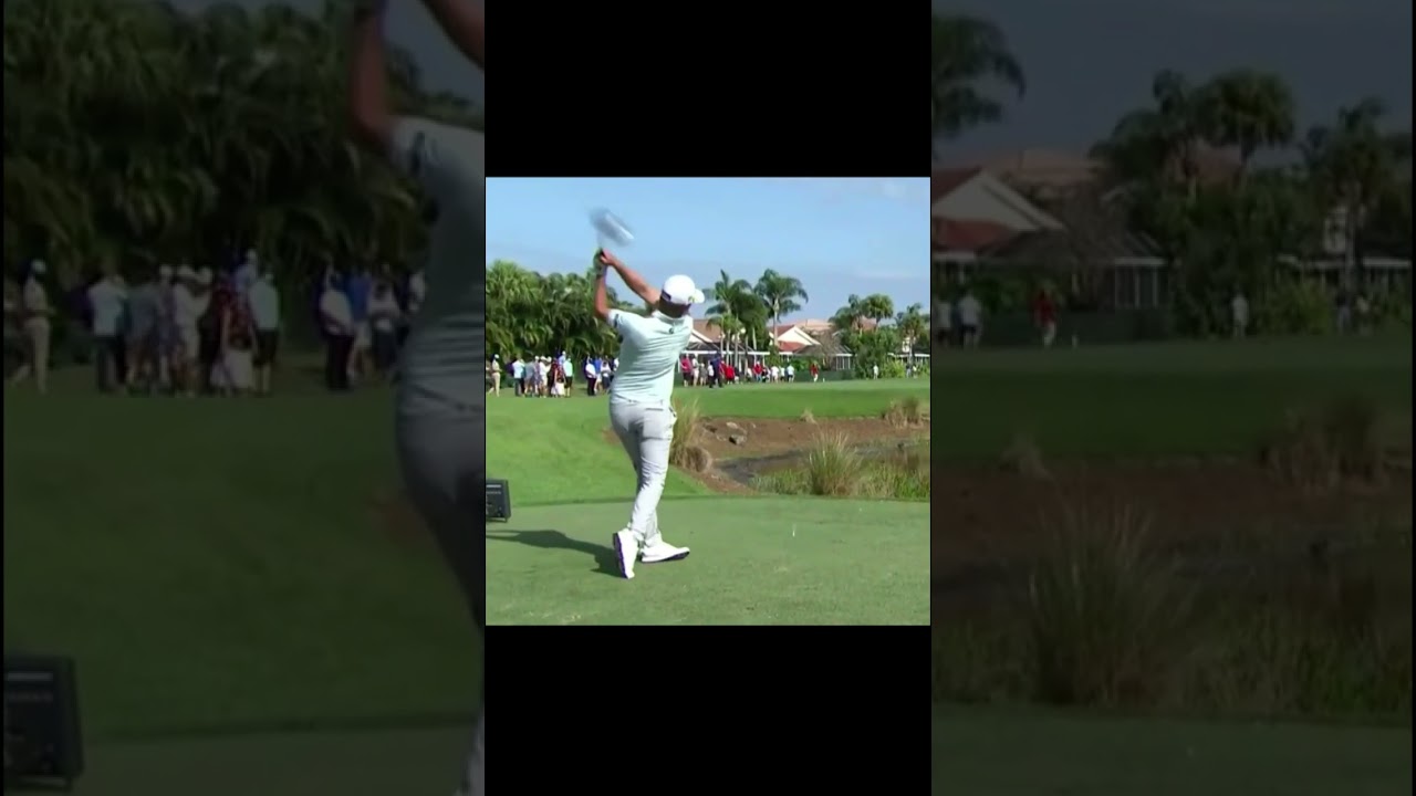 Matt Jones 매트 존스 マットジョーンズ