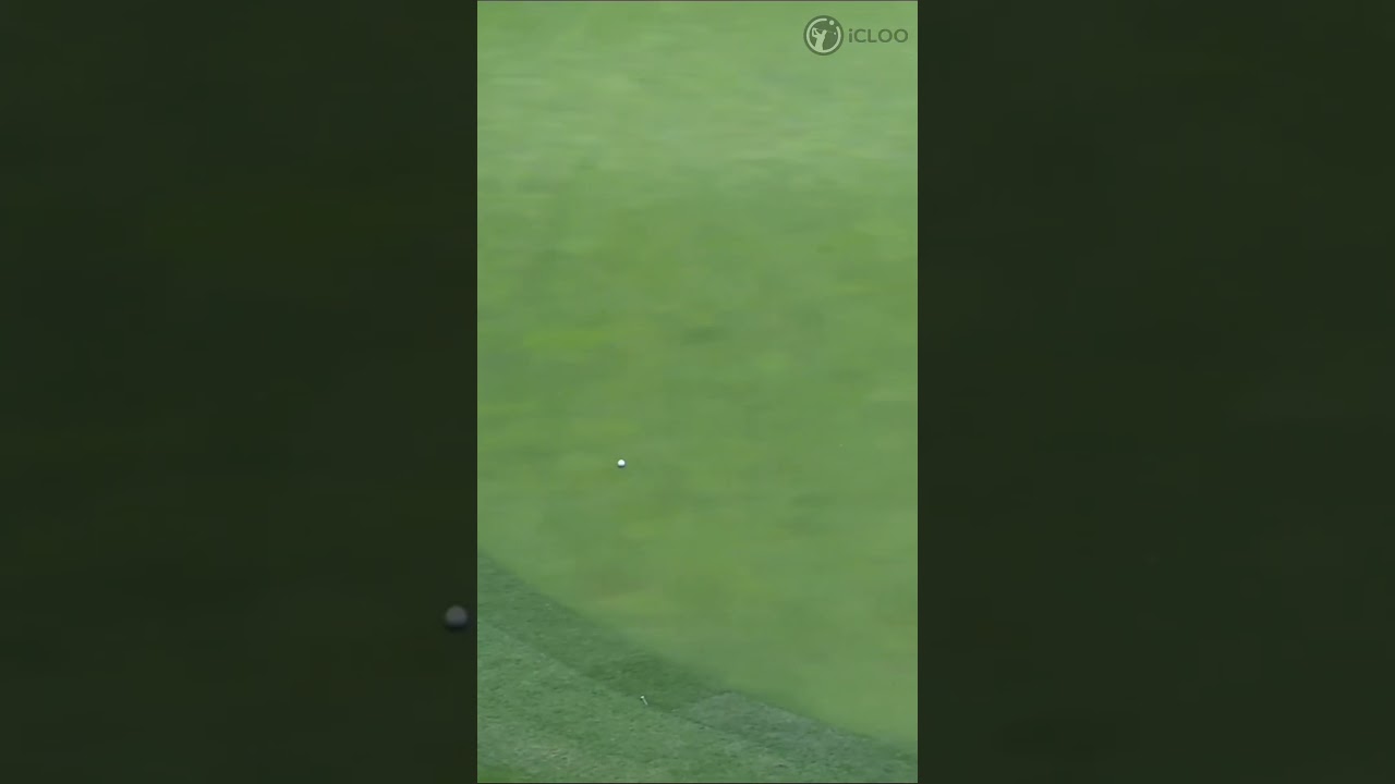 これがプロのショットだよ！（チャンネル登録すると素晴らしい映像がもっと早くみられます。）