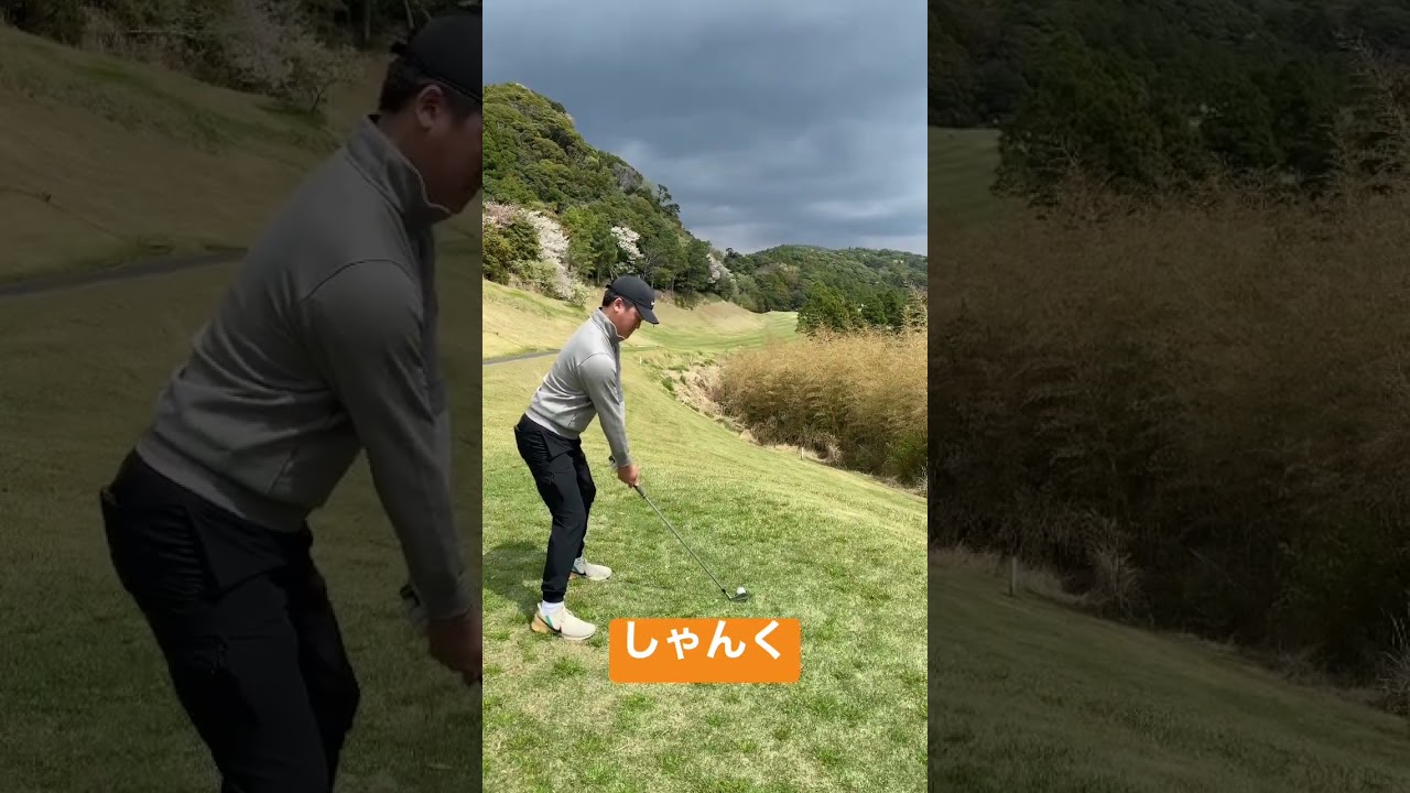 【50万回再生】#shorts #taylormade#golf #swing #golfswing #スイング#callaway #titleist #tigerwoods#タイガーウッズ