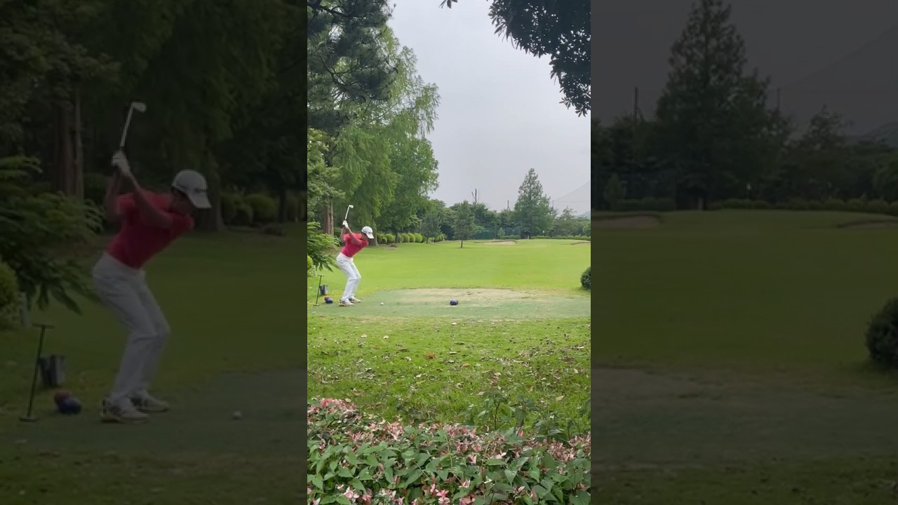 【ベスト66】タイガーウッズのスイングに改造したゴルファーの結末