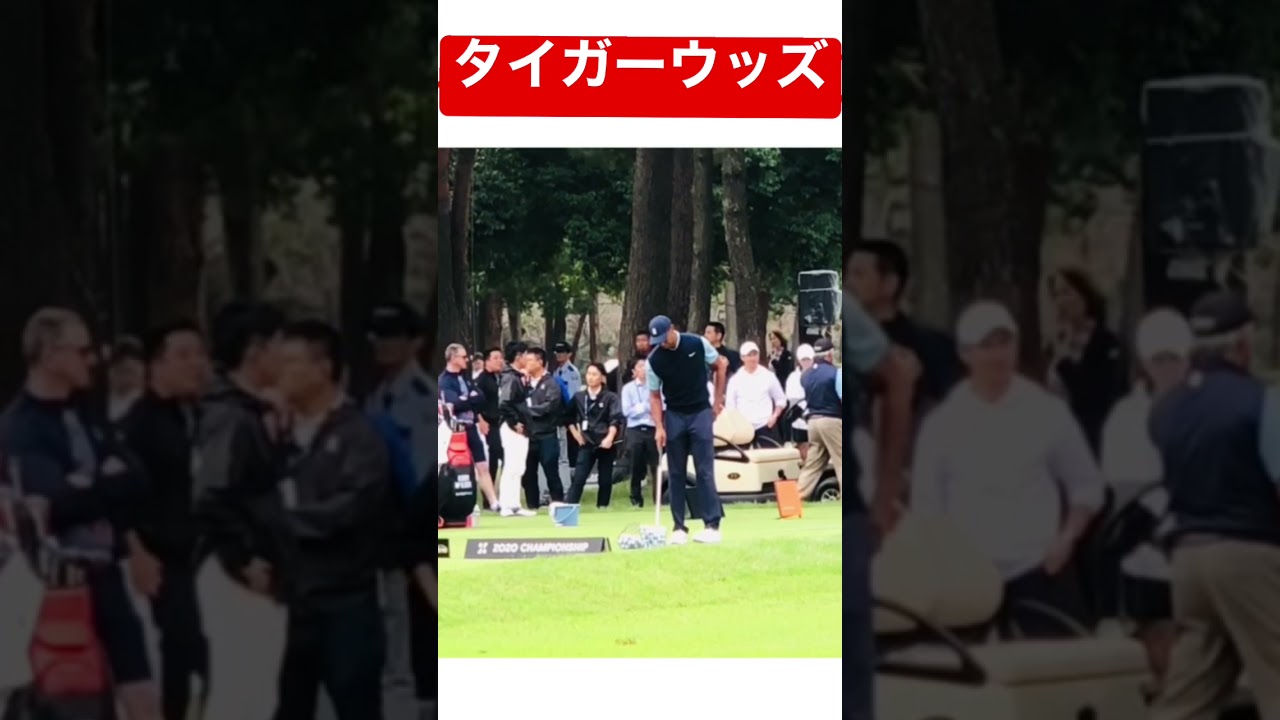 Tigerwoods アプローチ練習 (ZOZO CHAMPIONSHIP 2019.10 SKINSマッチ　タイガーウッズ 松山英樹 マキロイ ジェイソン・デイ) #shorts #tiger