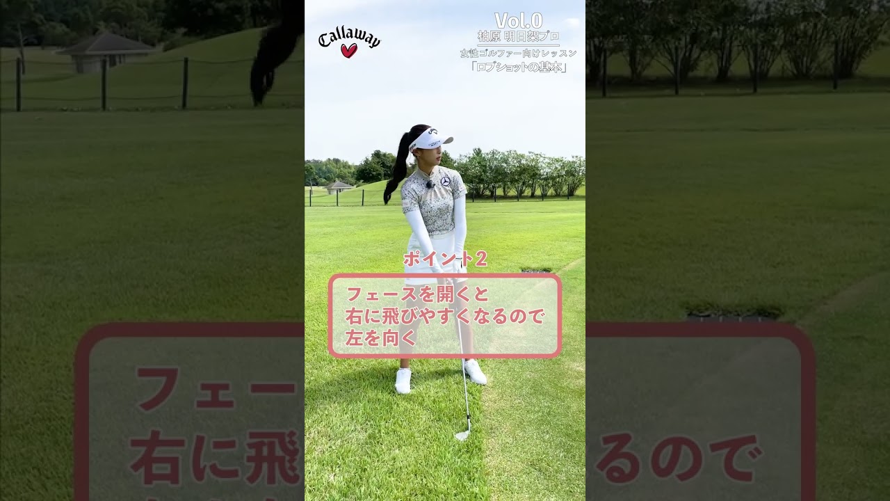 明日架プロロブショットの打ち方_確認用_kashiwabara A 001